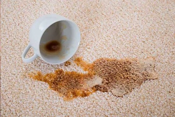 از بین بردن لکه های فرش ناشی از چای و قهوه